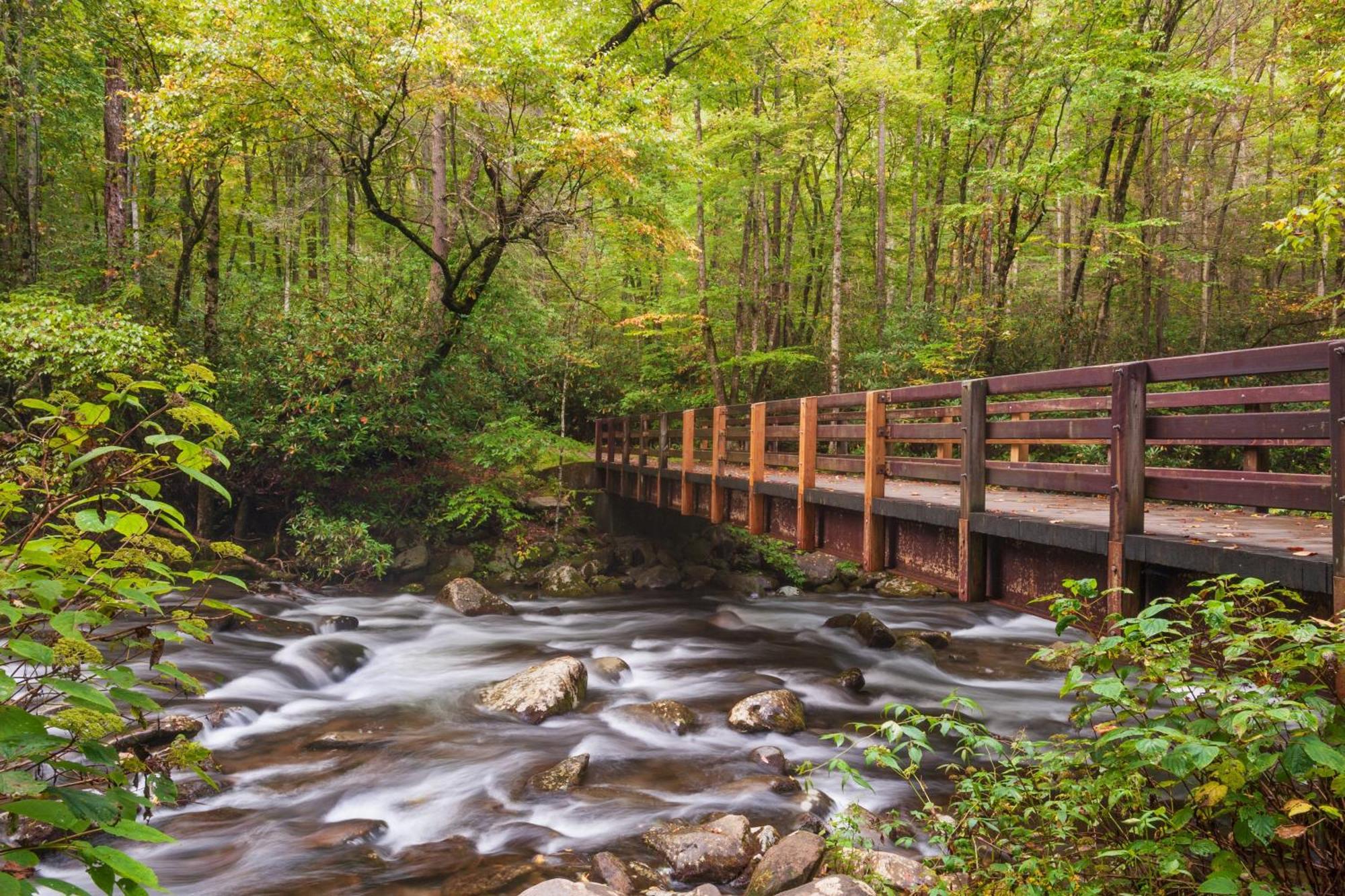 Majestic View Lodge, Amazing Views, Hot Tub, 1089 Free Tickets Each Paid Day, Dollywood And More 蓋特林堡 外观 照片