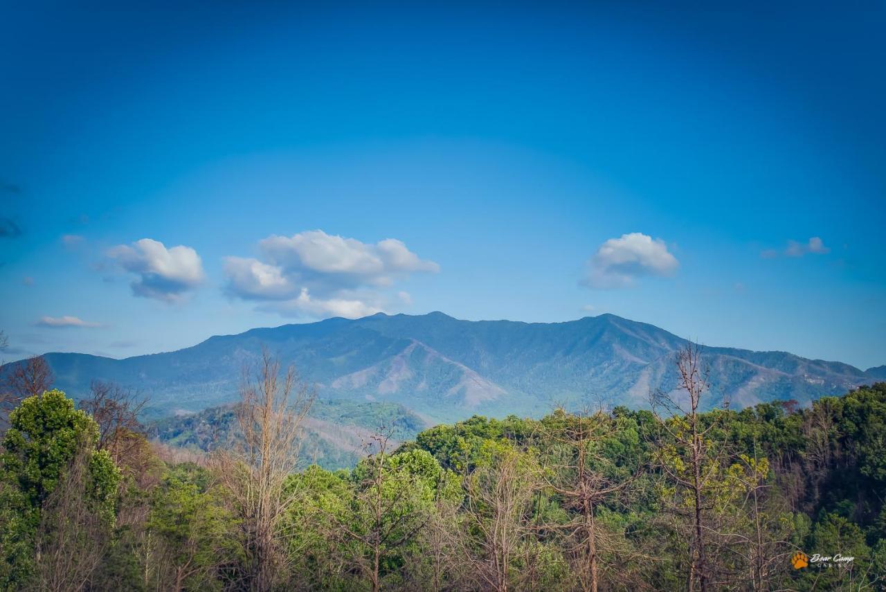 Majestic View Lodge, Amazing Views, Hot Tub, 1089 Free Tickets Each Paid Day, Dollywood And More 蓋特林堡 外观 照片