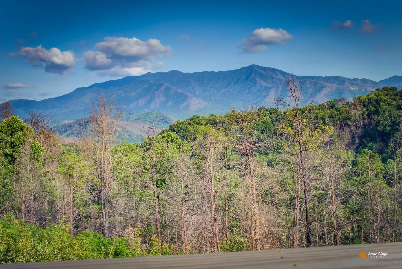 Majestic View Lodge, Amazing Views, Hot Tub, 1089 Free Tickets Each Paid Day, Dollywood And More 蓋特林堡 外观 照片